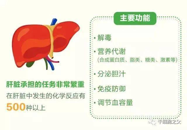 硒尿蛋白的人能补硒吗