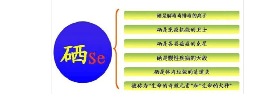 医生说需要补硒怎么补