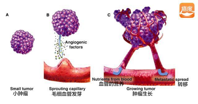 原位癌病人需要补硒吗