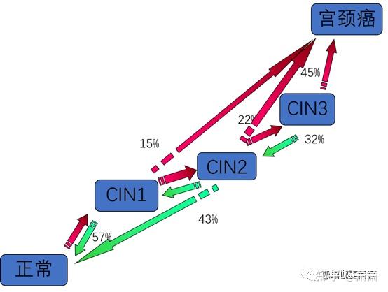 宫颈电切术后能补硒吗
