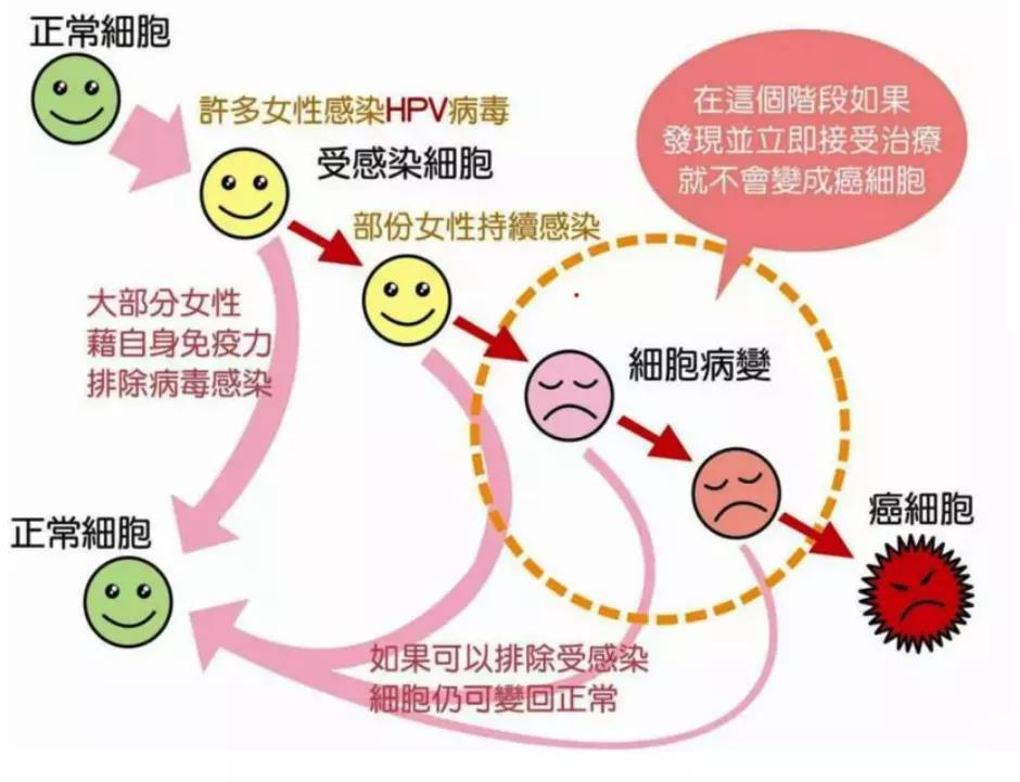 宫颈电切术后能补硒吗