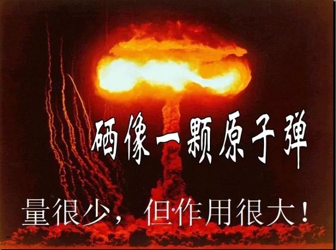 科学补硒宣传日是哪天