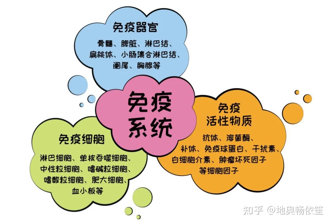 补硒元素是什么意思啊(补硒元素的食物有哪些)-硒宝网