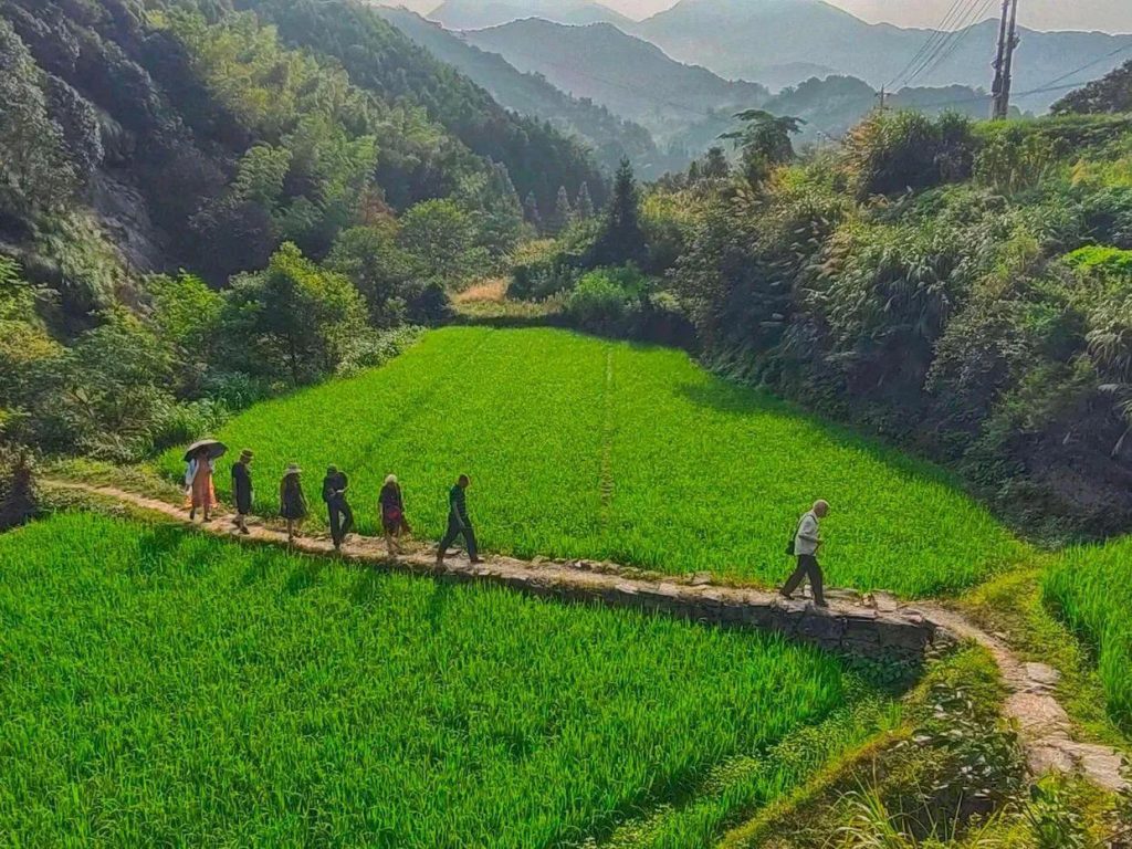 石台县富硒村旅游攻略(最新吃住一日游路线)-硒宝网