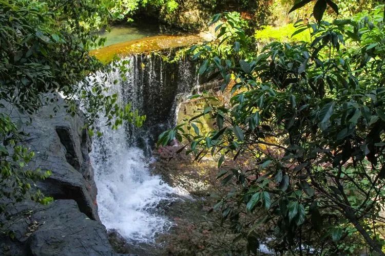 石台县富硒村简介(富硒第一村大山村)-硒宝网