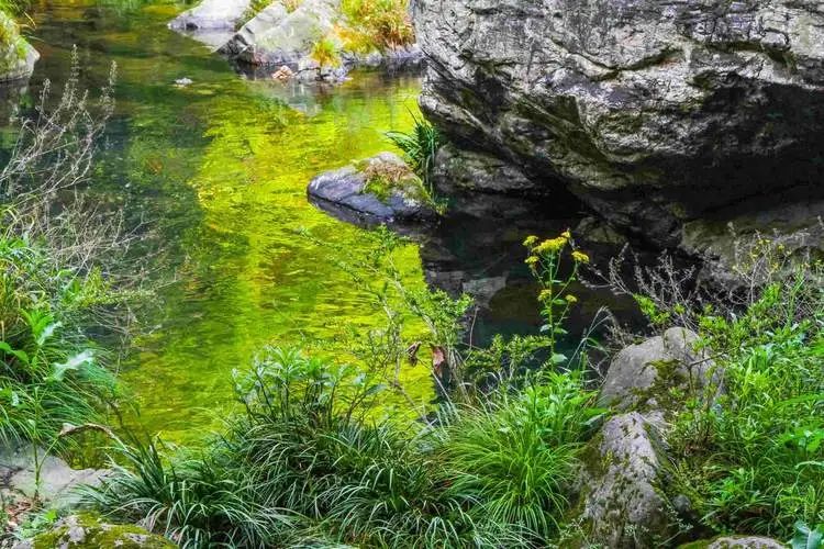 石台县富硒村简介(富硒第一村大山村)-硒宝网