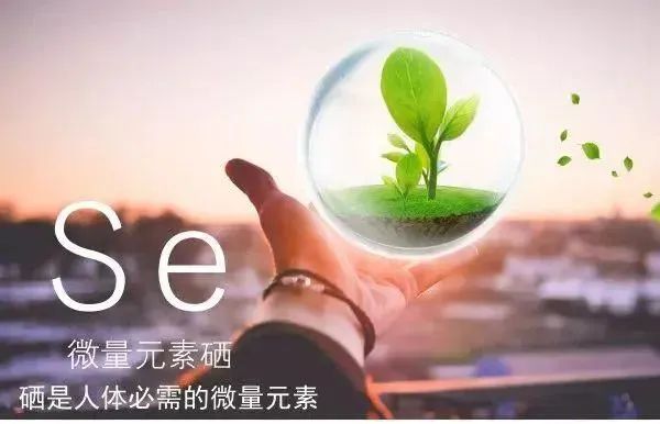 补硒的好处和副作用(成人缺硒的10个表现症状)-硒宝网