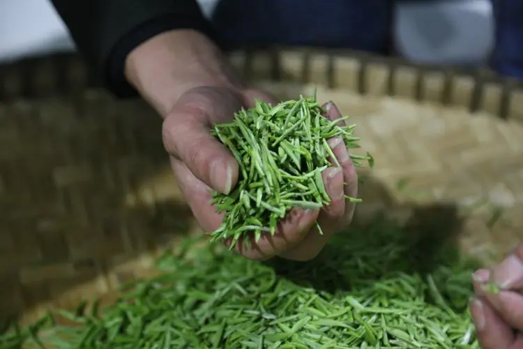 喝硒茶有什么好处(喝茶补硒吗)-硒宝网