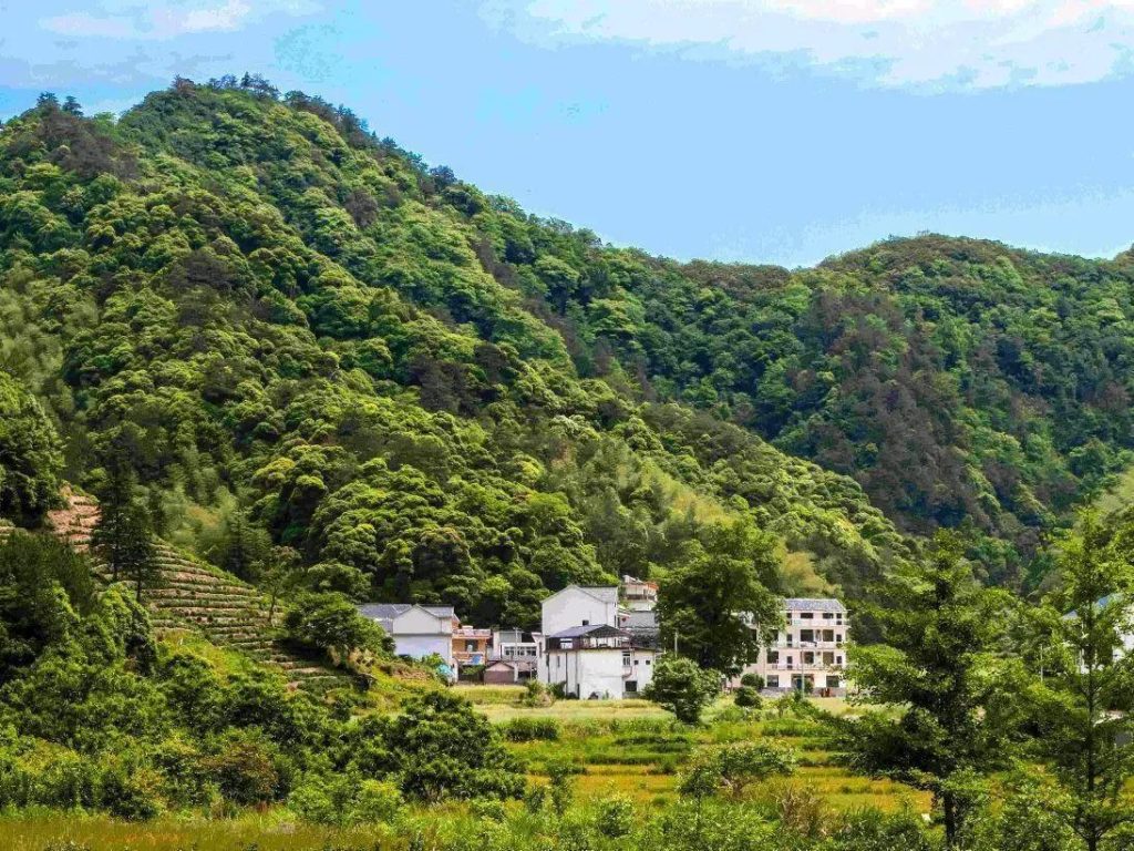 石台县富硒村旅游攻略(最新吃住一日游路线)-硒宝网