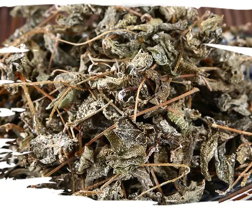 藤茶的功效与作用(藤茶的食用方法)-硒宝网