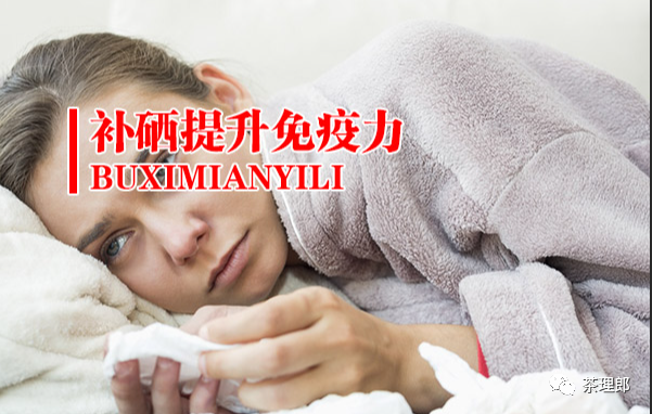 茶理郎富硒茶(茶理郎是哪个品种的茶)-硒宝网