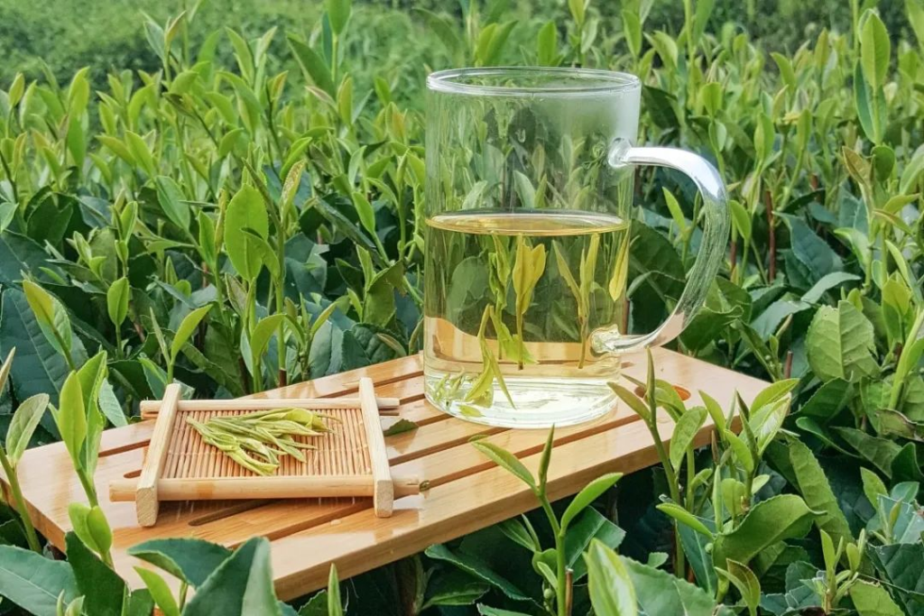 恩施硒茶多少钱一斤(2023恩施硒茶价格多少)-硒宝网