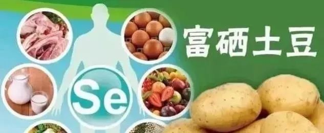 哪种有机硒最好(最好吸收的硒片有哪些)-硒宝网
