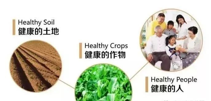 哪种有机硒最好(最好吸收的硒片有哪些)-硒宝网