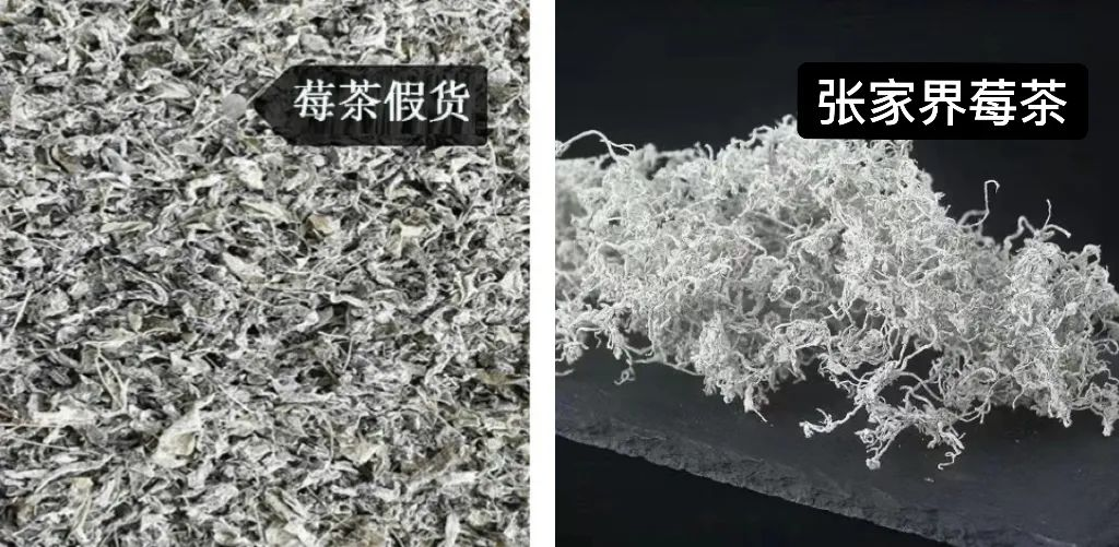 莓茶的副作用及禁忌(有什么毒副作用和坏处)-硒宝网