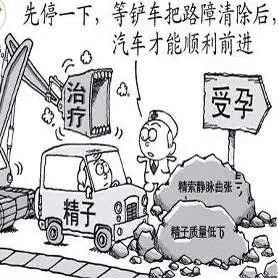 补硒对卵巢功能有用吗