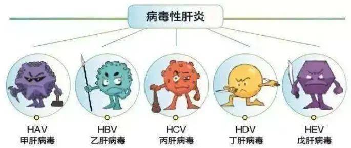 补硒能清除乙肝病毒吗