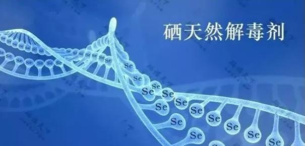 微量元素硒怎样补硒的(硒微量元素对人体有什么作用)-硒宝网