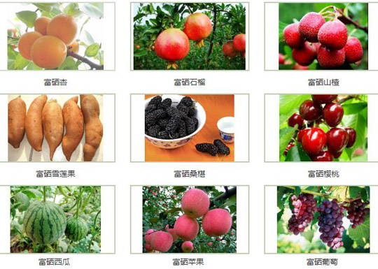 山东富硒食品