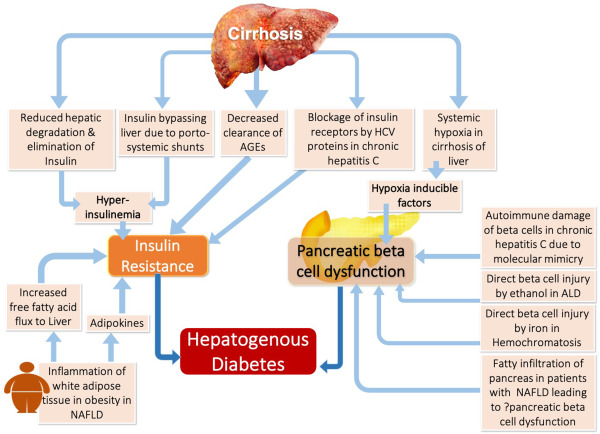 保肝护肝补硒什么硒好
