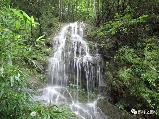 喝含硒的水可以补硒不