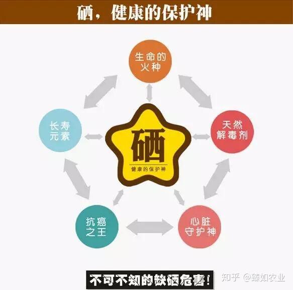 儿童补镁补硒吃什么好(孩子补镁有些什么药)-硒宝网
