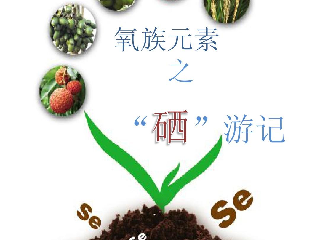 卖的保健品硒能补硒吗
