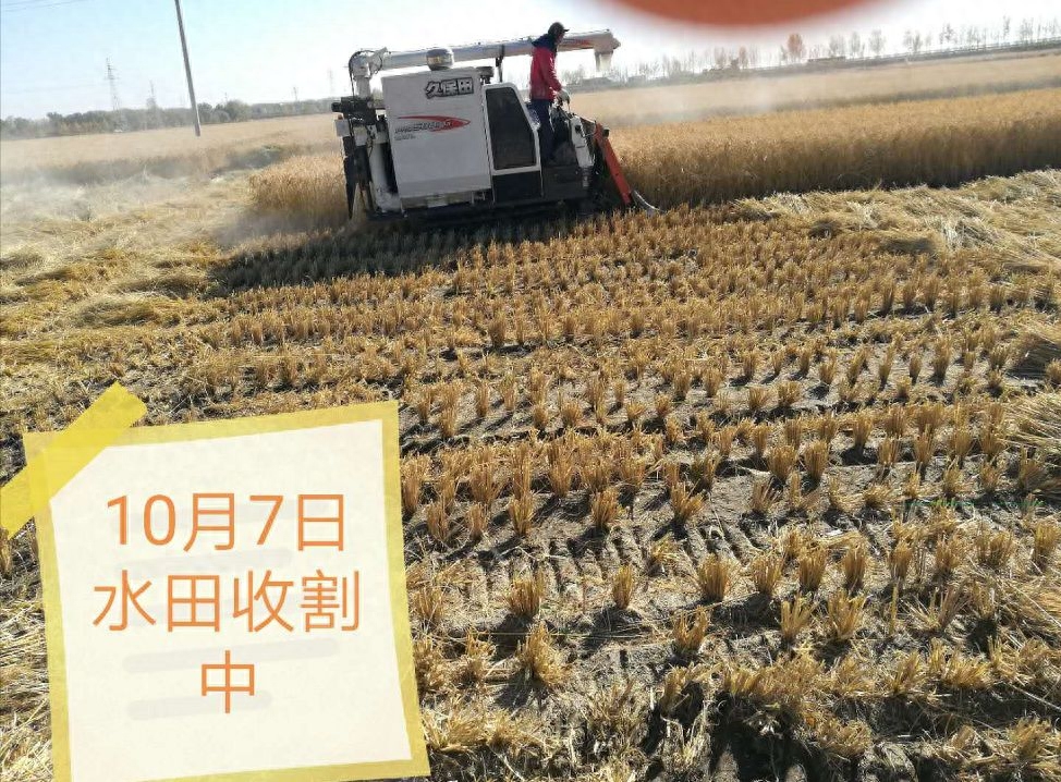 含硒的矿泉水能补硒吗