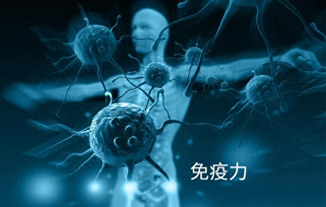 人体必需微量元素“硒”，是癌细胞毒药？多吃5种食物，不怕缺硒