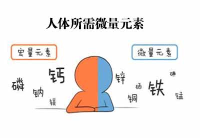 儿童每天需要补多少硒
