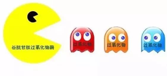 甲状腺补哪个牌子的硒