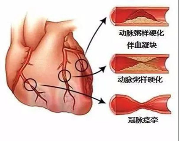 人体补硒每天最低多少