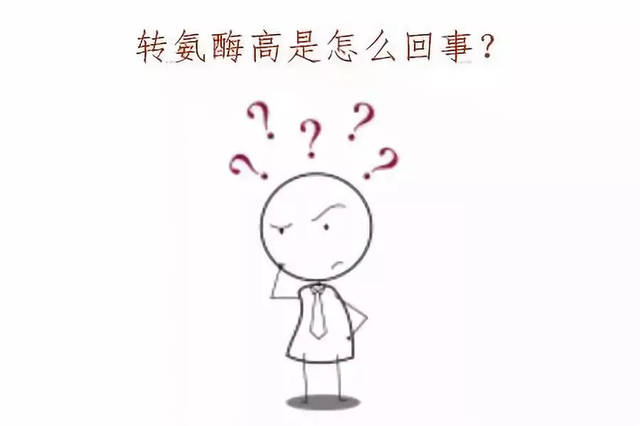 转氨酶偏高补硒能降吗