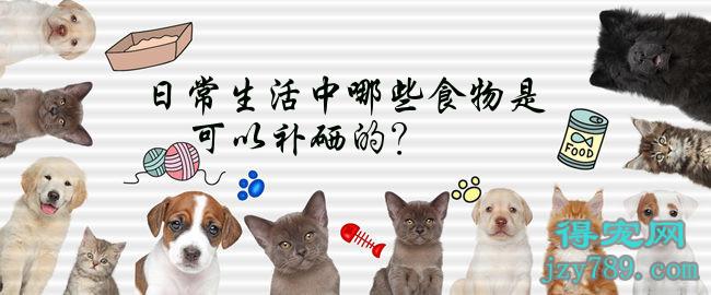 什么季节补硒效果最好