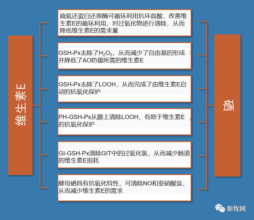 种菜如何补硒元素含量