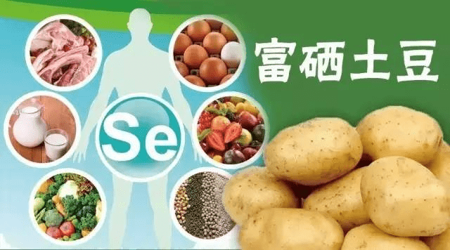 补硒食物推荐图文介绍