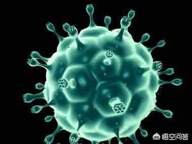 感染hpv52，该怎么办？插图13