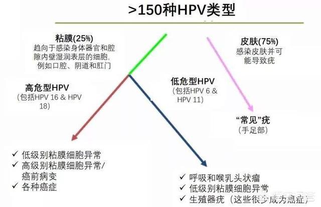 感染hpv52，该怎么办？插图5