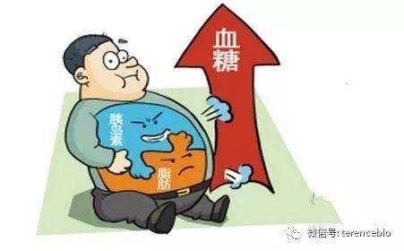 心肌衰竭的人怎么补硒