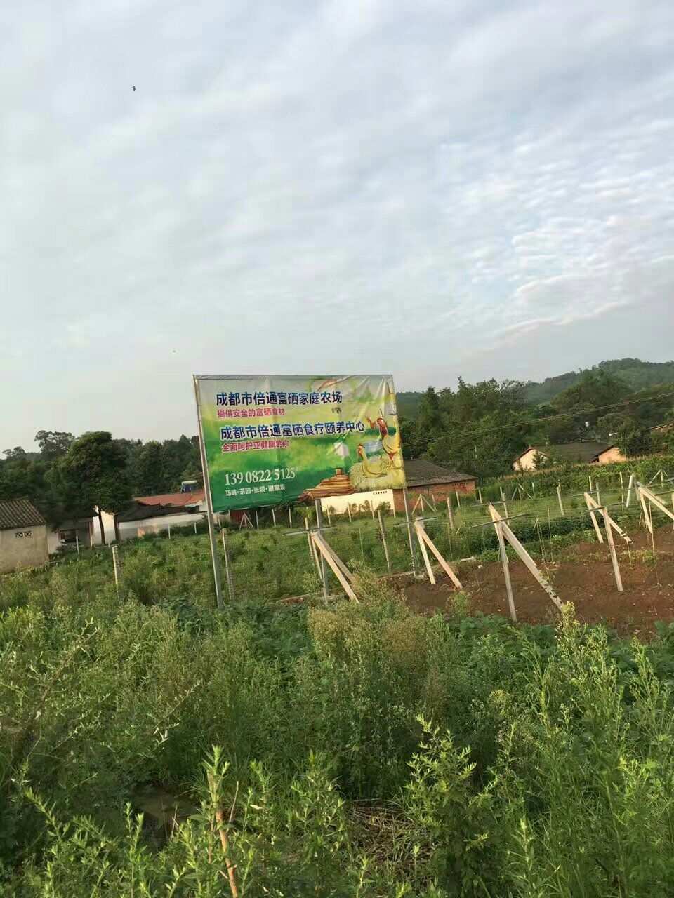 恩施补硒养生基地地址