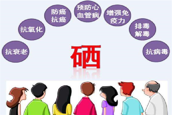 经常补硒的人不易生?。ㄗ挪刮岵换嶂卸荆?硒宝网