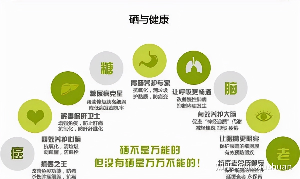 经常补硒的人不易生?。蒲Р刮?硒宝网