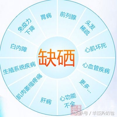 宝宝不补锌补硒吃什么