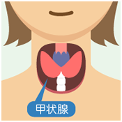 促甲状腺激素高补硒吗