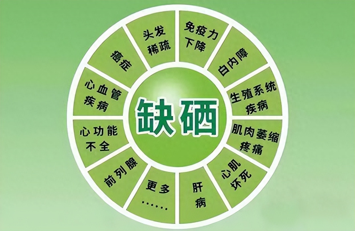 硒元素补什么最好呢呢(补充硒元素)-硒宝网