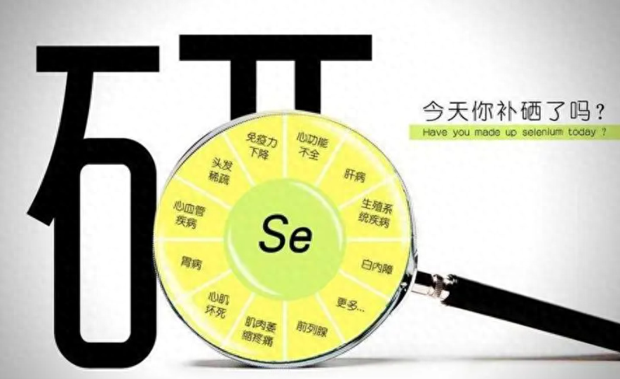 硒元素补什么最好呢呢(补充硒元素)-硒宝网