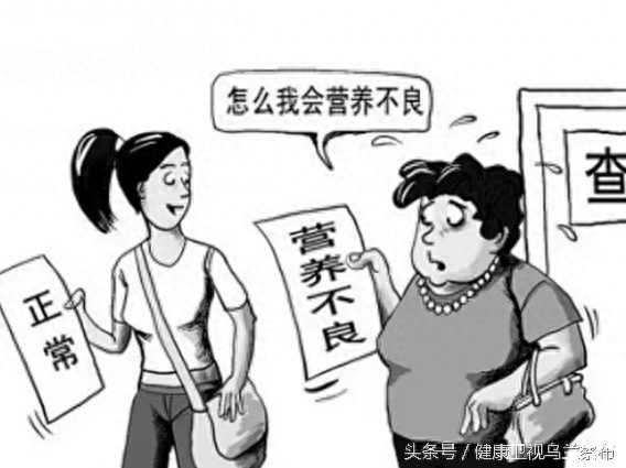菠菜种子可以补铁补硒