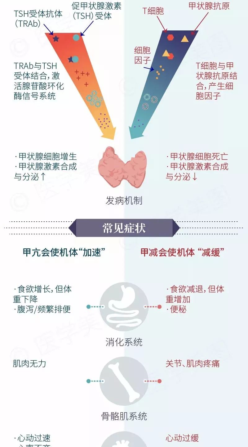 眼睛肿可以补硒吗女性