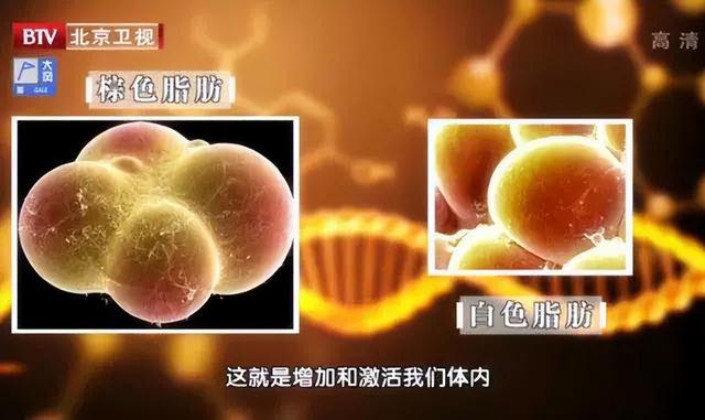 血脂异?；箍梢圆刮穑ú挂斐Ｑ梢猿て诔月穑?硒宝网