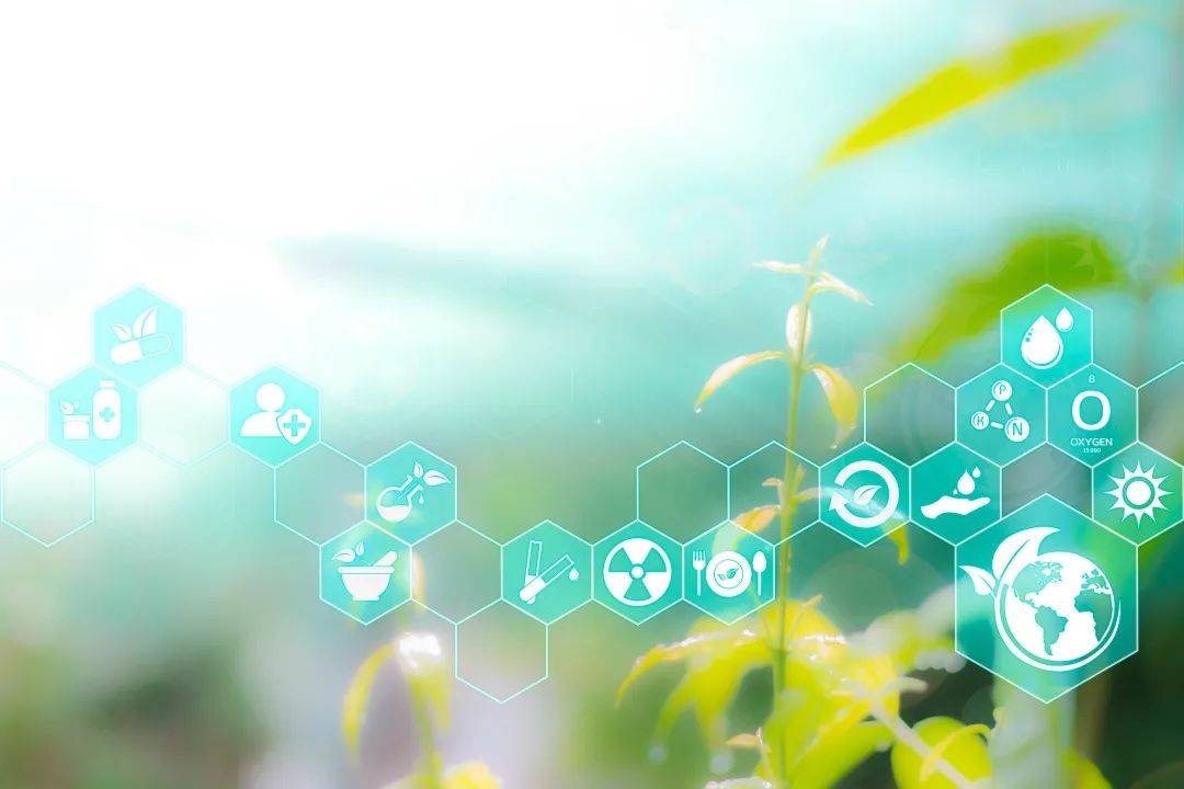 怀孕了可以补硒酵母吗